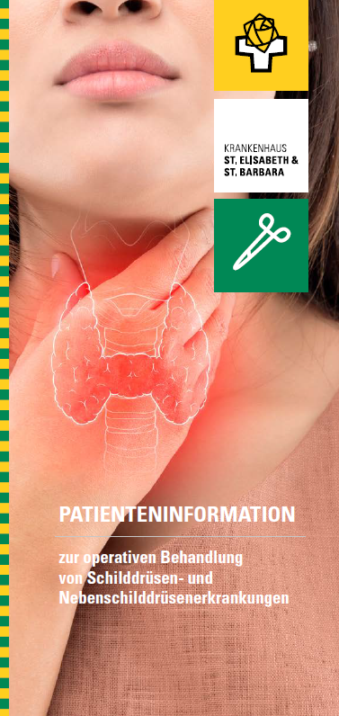 Schilddrüsen- und Nebenschilddrüsenerkrankungen