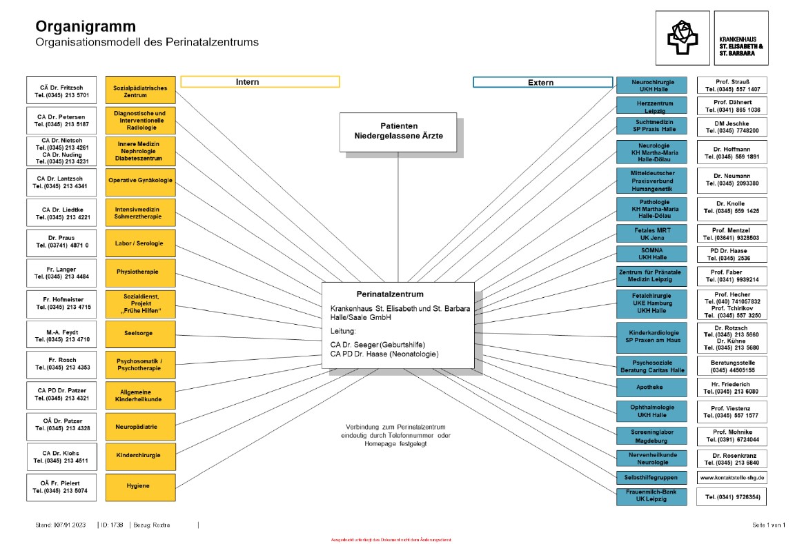 Organisationsmodell des Perinatalzentrums