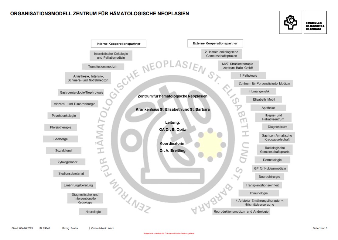 Organisationsmodell